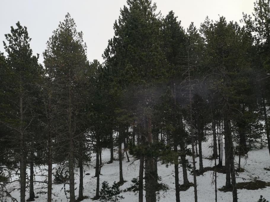 Apartamento A 200 Metros De Port Del Comte Ski La Coma I La Pedra Dış mekan fotoğraf